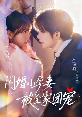 闪婚小孕妻被全家团宠海报