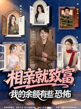 相亲就致富，我的余额有些恐怖海报