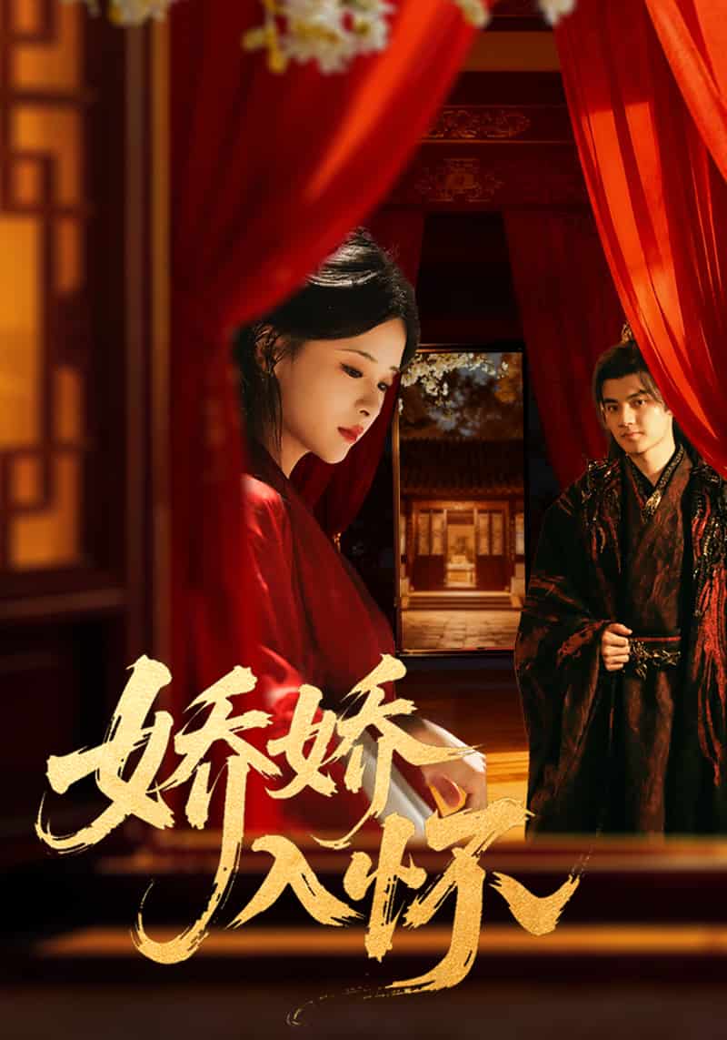 娇娇入怀海报