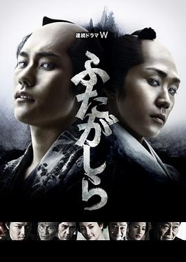 江户盗贼团双雄海报