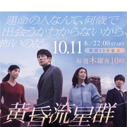 黄昏流星群海报