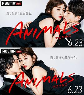 动物 ANIMALS海报