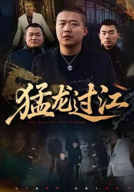 猛龙过江海报