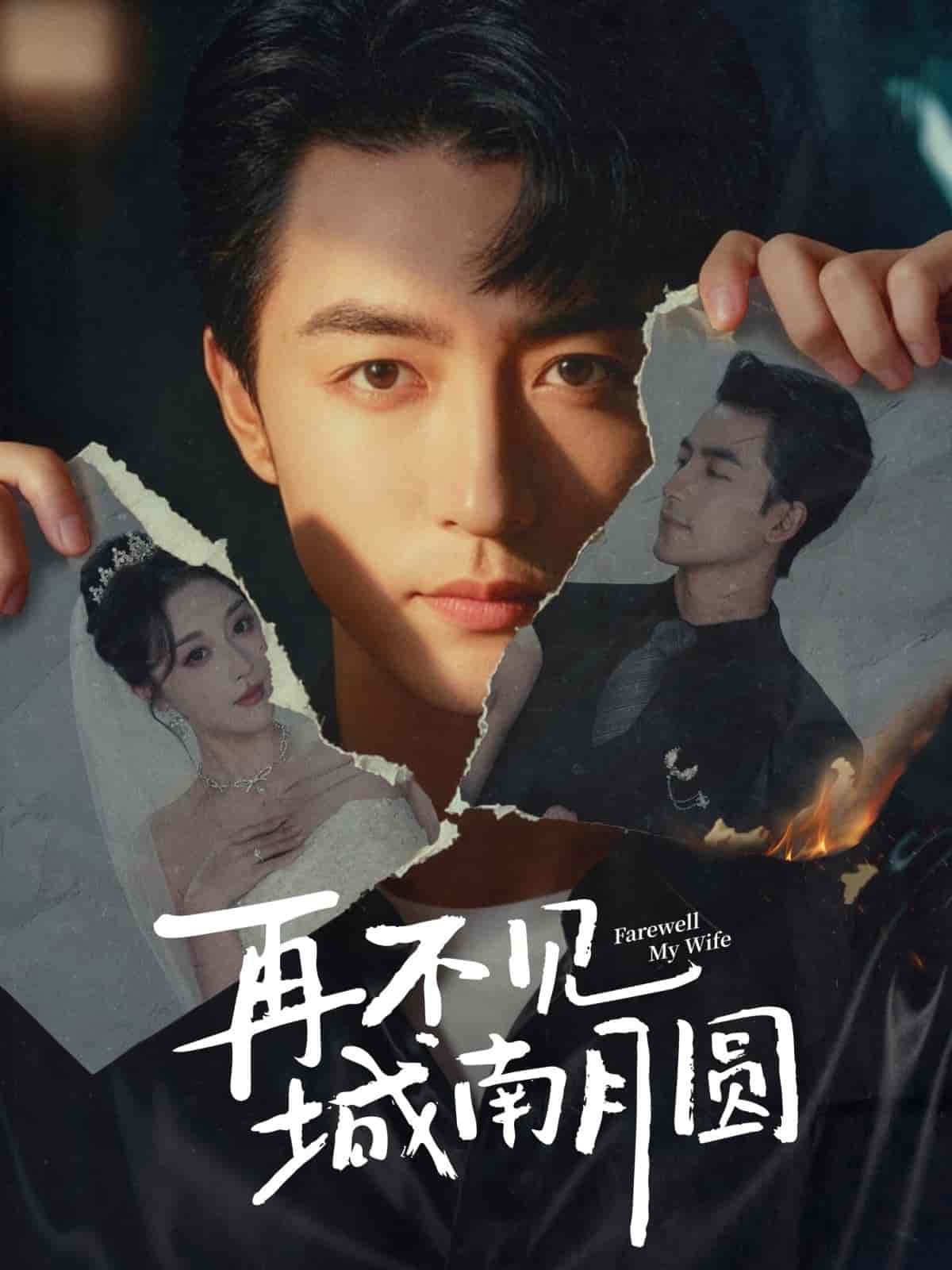 再不见城南月圆海报