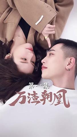 万渣朝凰海报