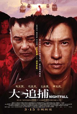 大追捕2012海报