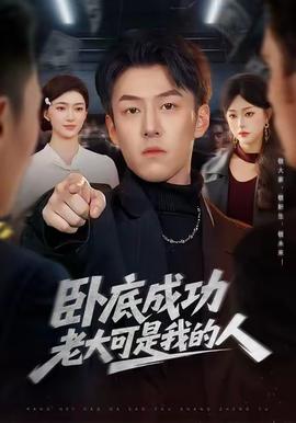 卧底成功老大可是我的人海报