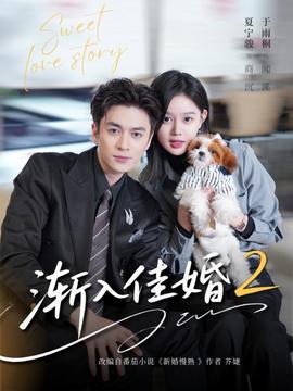 渐入佳婚2海报