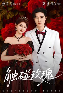 触碰玫瑰海报