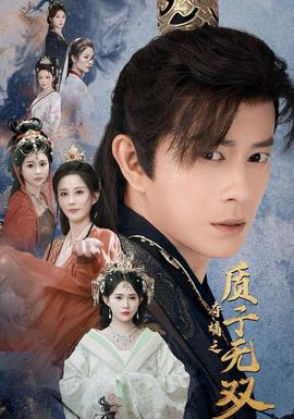 夺嫡之质子无双海报
