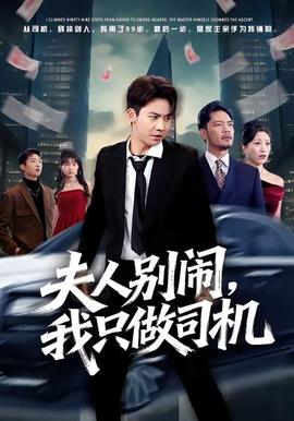 夫人别闹我只做司机海报