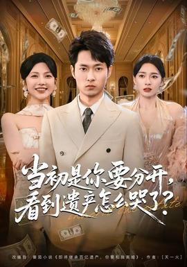 当初是你要分开，看到遗产怎么哭了？海报