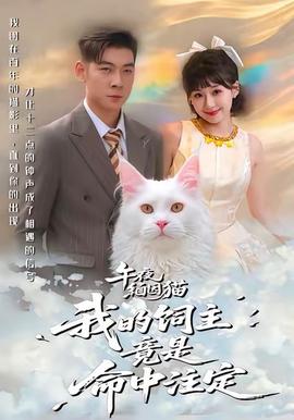 午夜缅因猫我的饲主竟是命中注定海报
