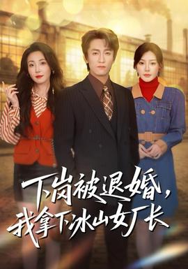 下岗被退婚，我拿下冰山女厂长海报