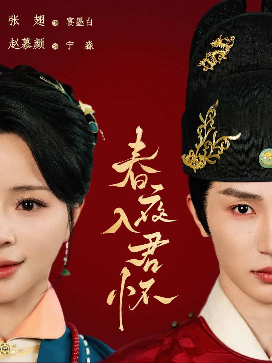 春夜入君怀海报