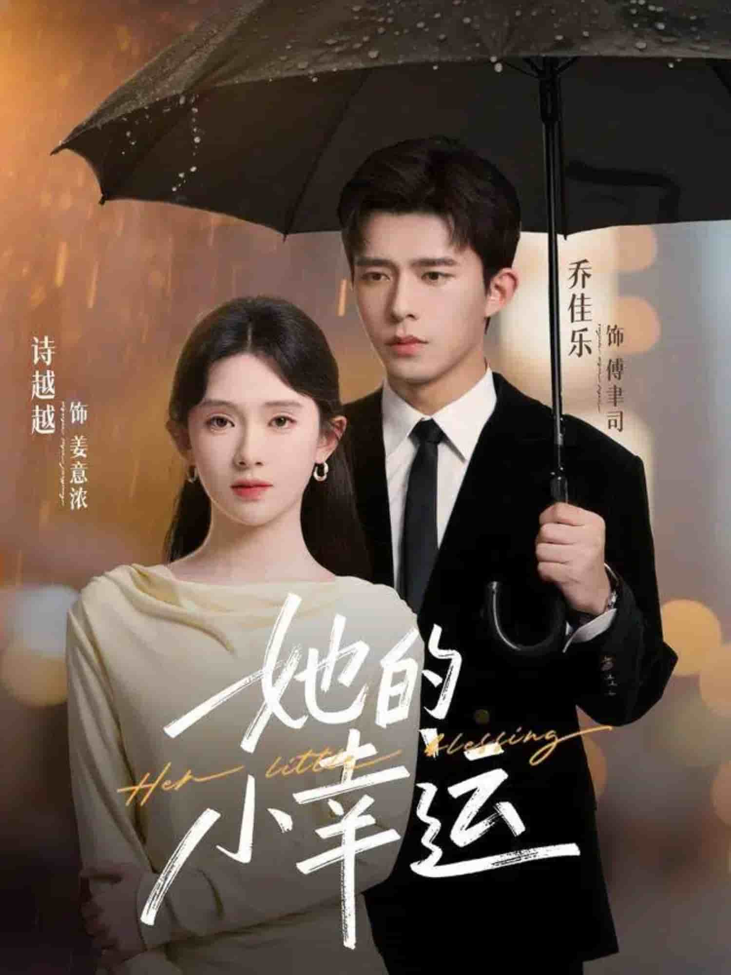她的小幸运海报