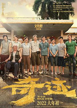 奇迹笨小孩海报