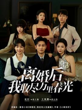离婚后我收尽万里春光海报