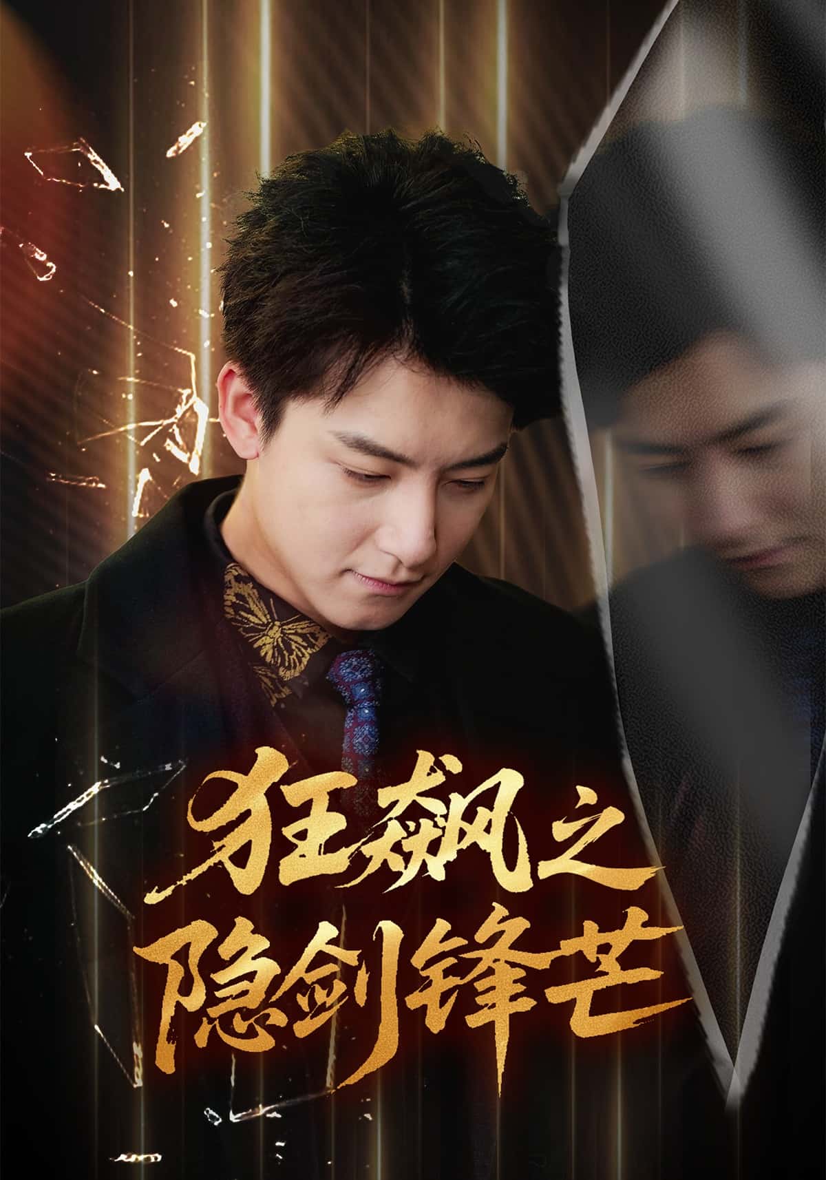 狂飙之隐剑锋芒海报
