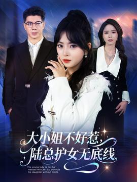 大小姐不好惹陆总护女无底线海报