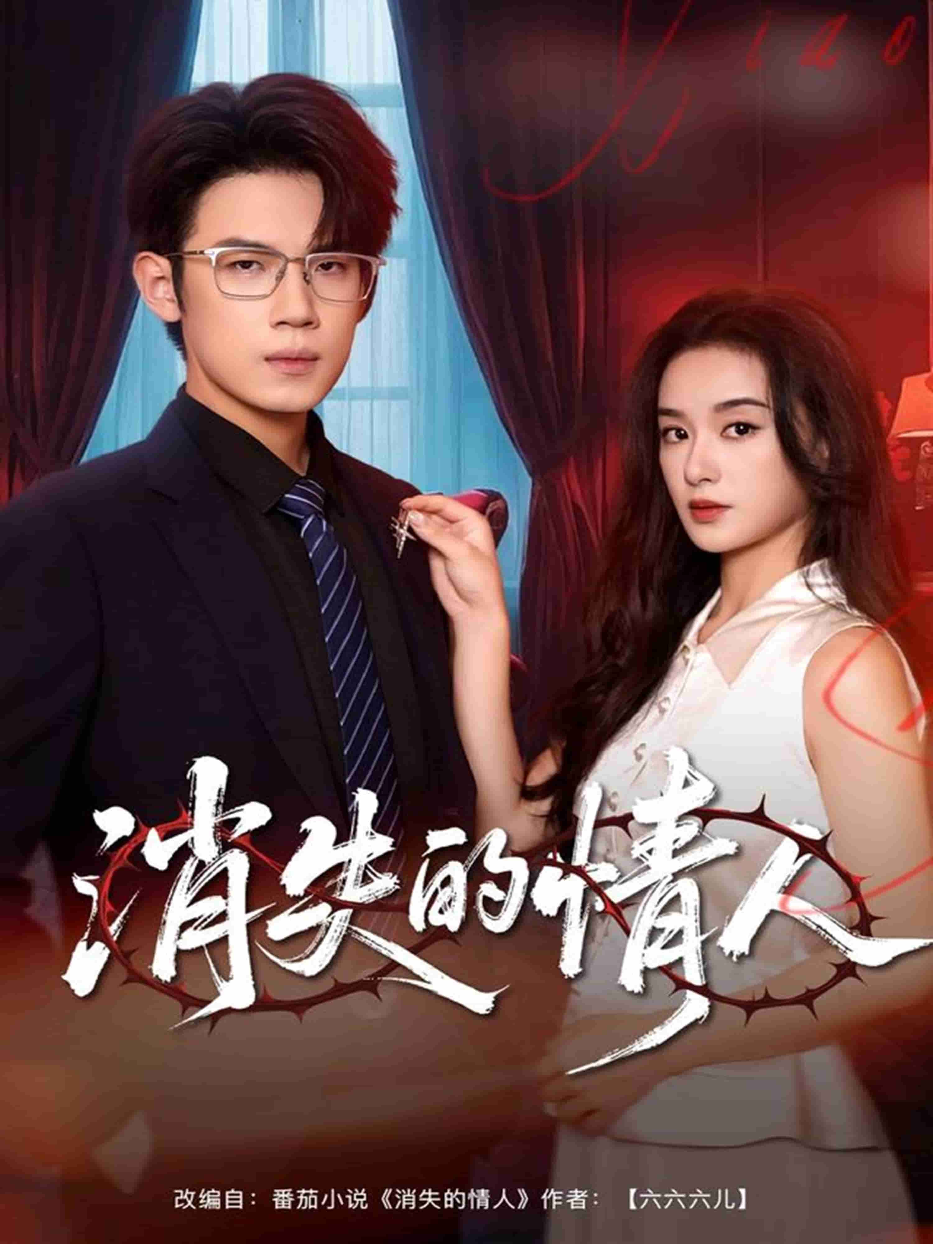 消失的情人海报