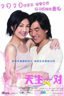 天生一对(2006)海报