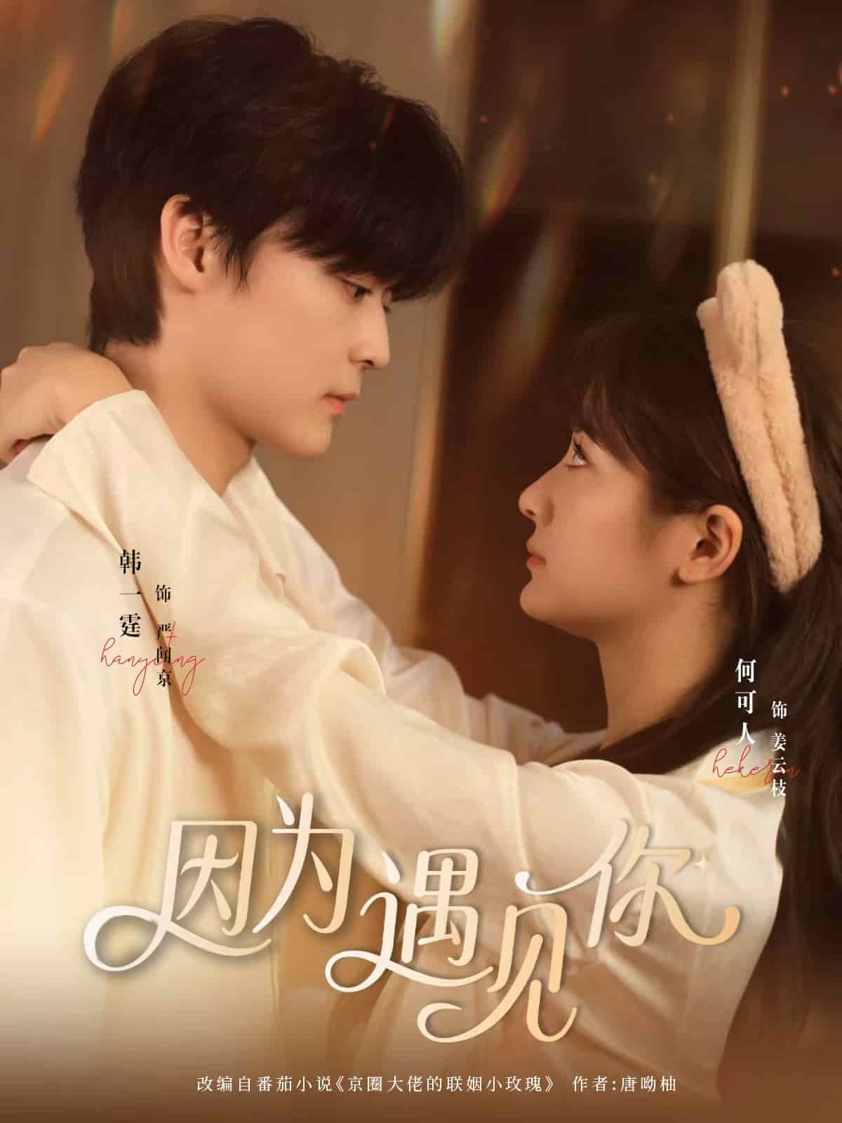 因为遇见你（短剧版）海报