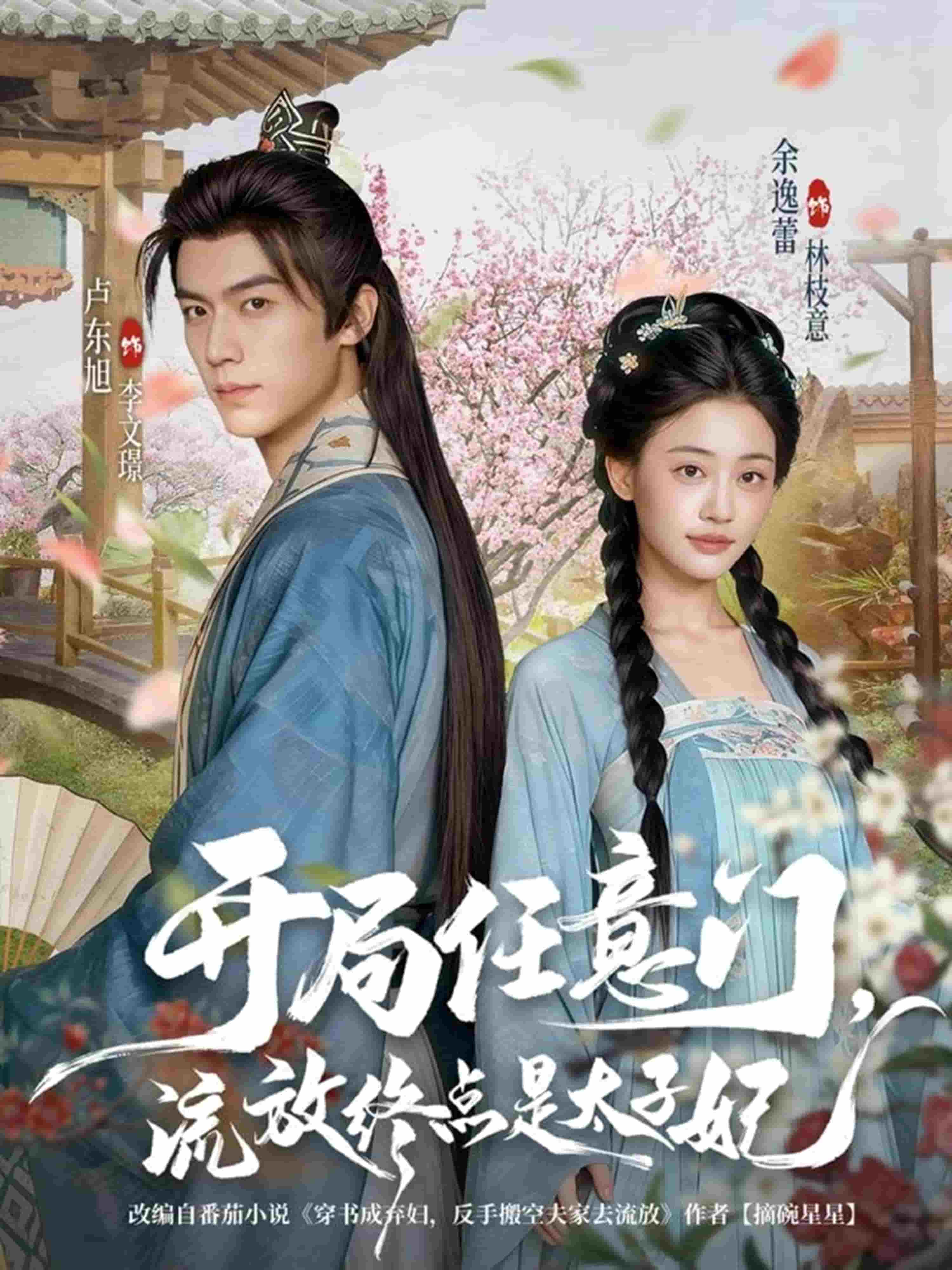 开局任意门流放终点是太子妃海报