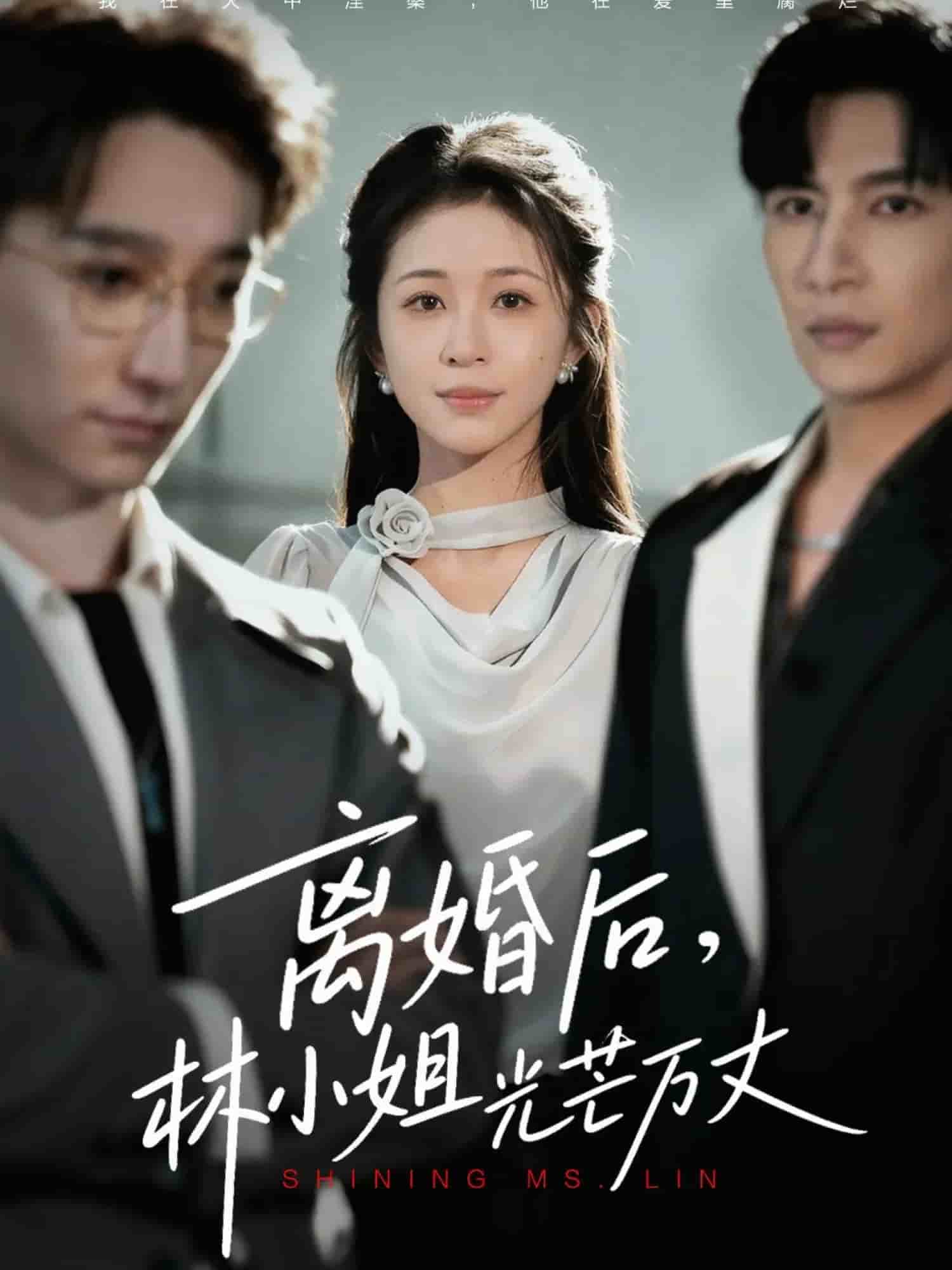 离婚后林小姐光芒万丈海报
