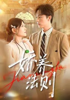 娇养法则海报
