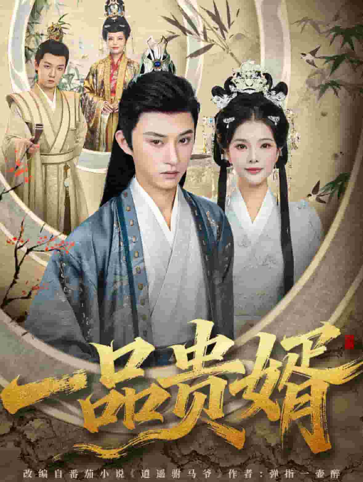 一品贵婿海报