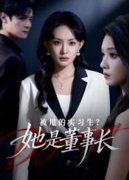 被甩的实习生？她是董事长海报