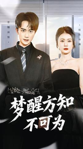 梦醒方知不可为海报