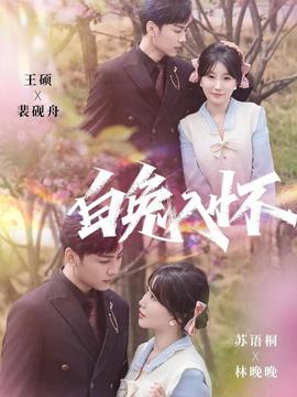 白兔入怀海报