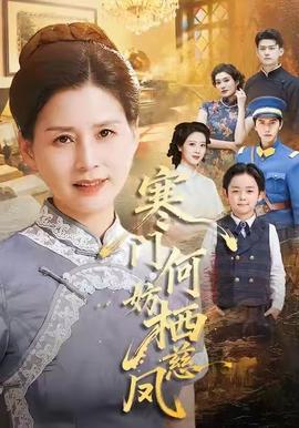 寒门何妨栖慈凤海报