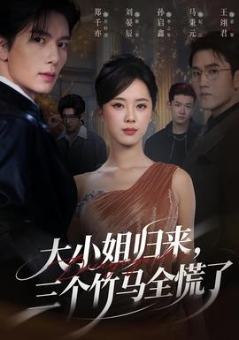 大小姐归来三个竹马全慌了海报