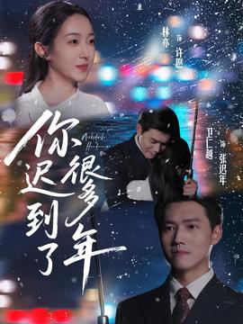 你迟到了很多年海报