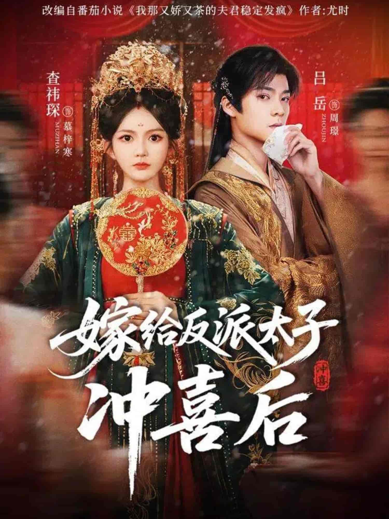 嫁给反派太子冲喜后海报