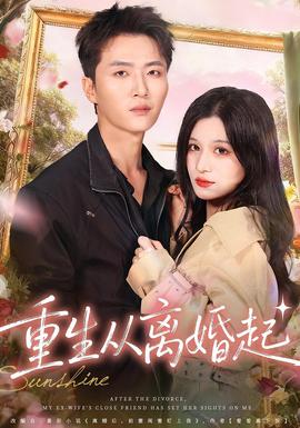 重生从离婚起海报