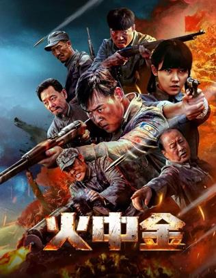 火中金海报