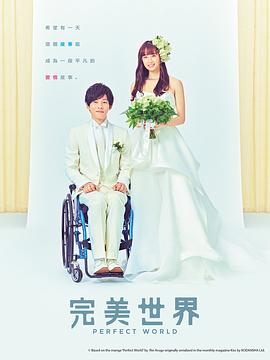 完美的世界海报
