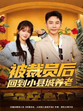 被裁员后回到小县城养老海报