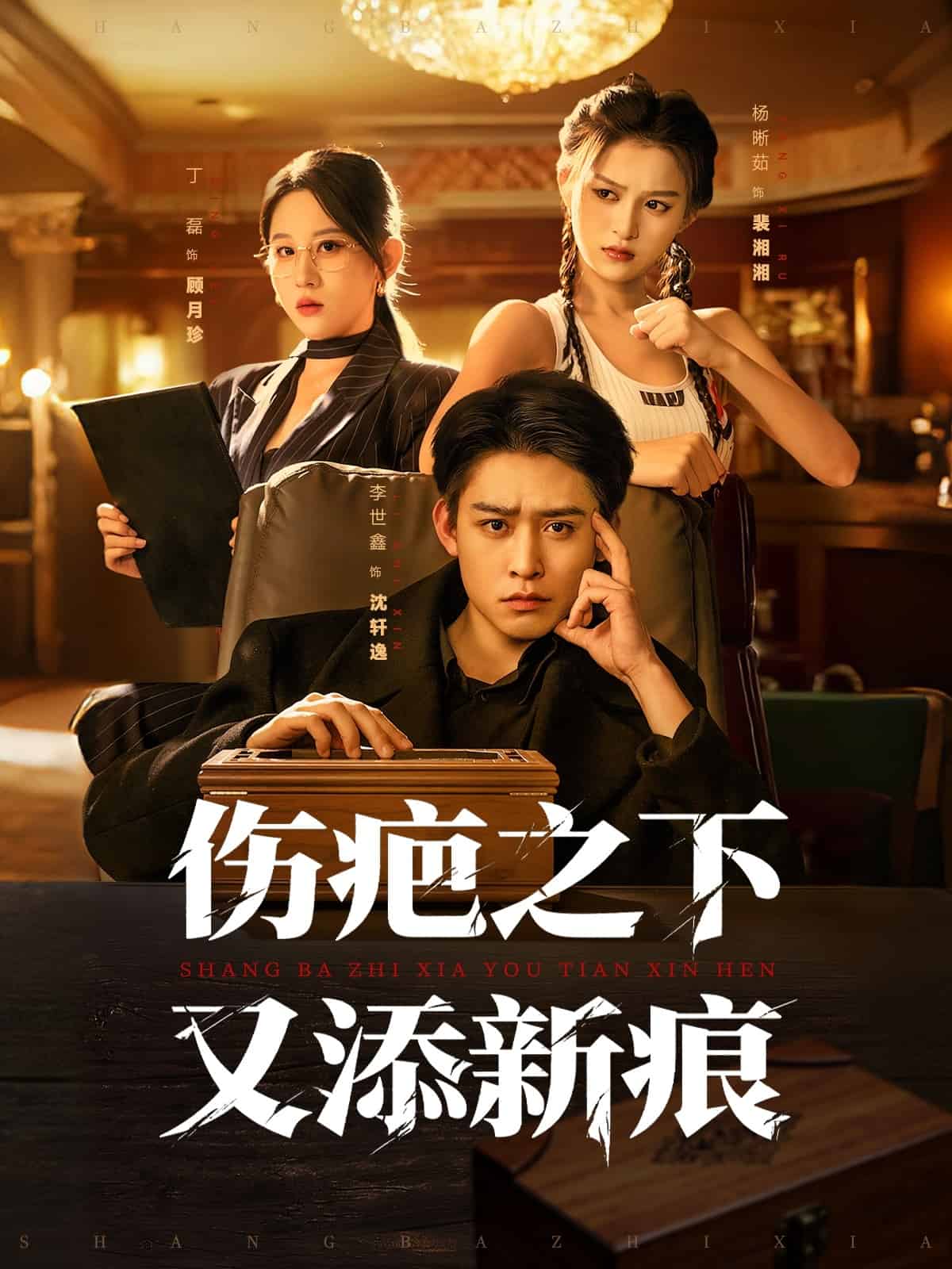 伤疤之下又添新痕海报
