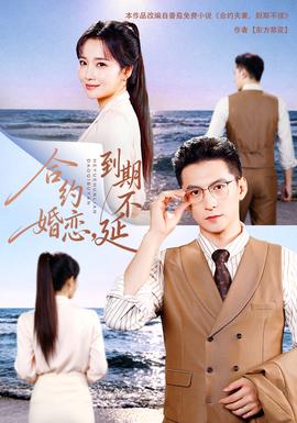 合约婚恋，到期不延18集包含纯净版海报