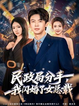 民政局分手，我闪婚了女总裁海报