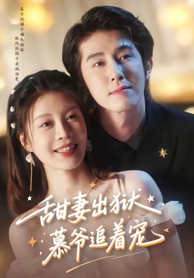 甜妻出狱，慕爷追着宠海报