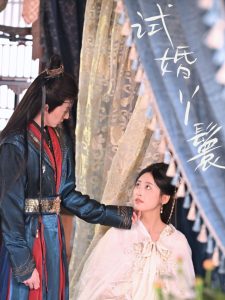 试婚丫鬟海报