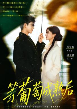 等葡萄成熟后海报