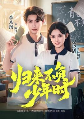归来不负少年时海报