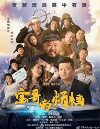 宝哥的烦恼海报